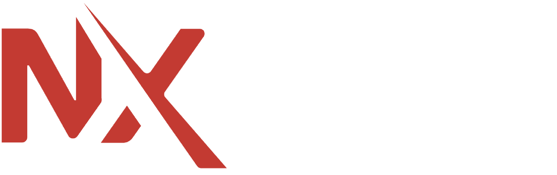 NanoXplore Design Services logo
